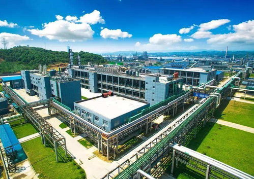 共戰(zhàn) 疫 情 走進英雄的企業(yè) 興發(fā)集團