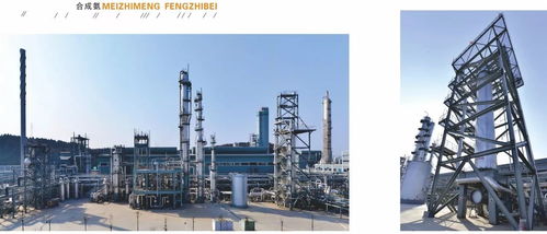 中國化工報聚焦四川美豐，一項關鍵工藝通過科技成果鑒定